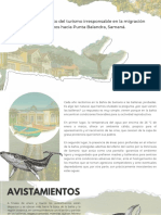 Análisis Del Impacto Del Turismo Irresponsable en La Migración de Cetáceos Hacia Punta Balandra, Samaná.