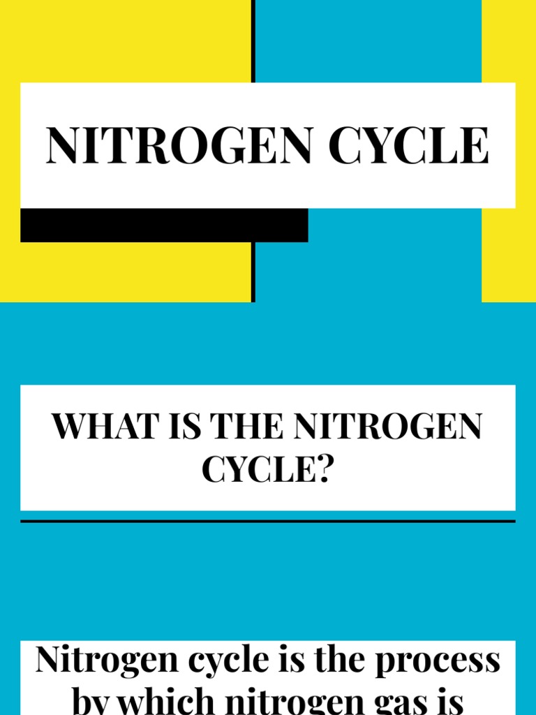 Nitrogen Cycle (Grade 10) | PDF | Nitrogen | Soil