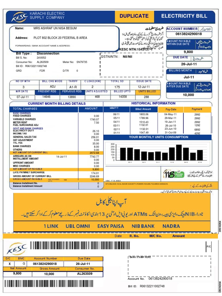 Duplicate: Electricity Bill | PDF