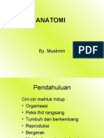 ANATOMI