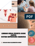 LKPD - Sistem Reproduksi Manusia