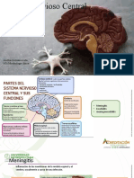 Diapositivas SNC