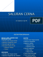 Kuliah Saluran Cerna