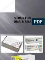 Struktur DNA-RNA