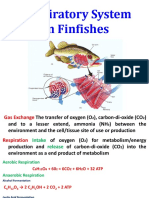 4.-Respiratory-System-in-Finfishes-1