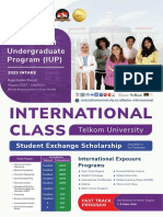Flyer IUP English