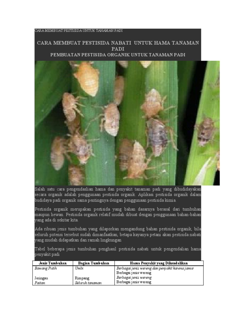 Cara Membuat Pestisida Untuk Tanaman Padi Pdf