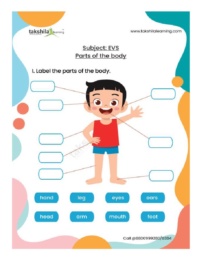My Body | PDF