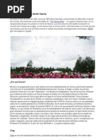 Deteniendo la guerra desde Suecia