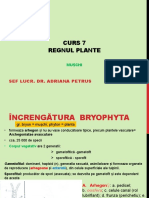 c13 si 14_regn Plante - Briophyta (2)