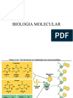 Biología molecular: Enlace fosfodiéster, complementariedad de bases y código genético