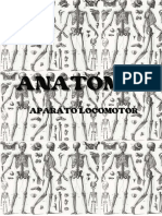 ANATOMÍA (2)