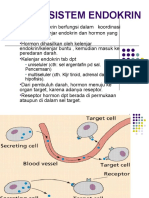 Sistem Endokrin