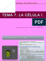 Tema 7 La Célula I