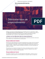 Diferentes Tipos de Emprendimiento - Anura Emprende