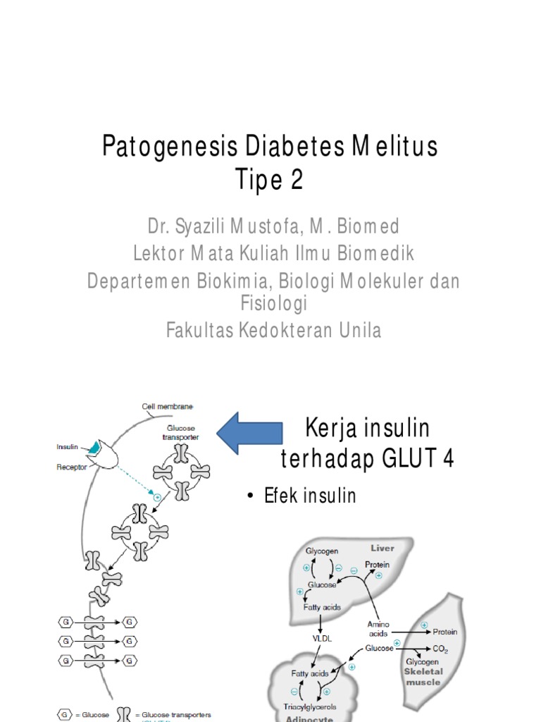 Patogenesis Diabetes Melitus Tipe 2 | PDF