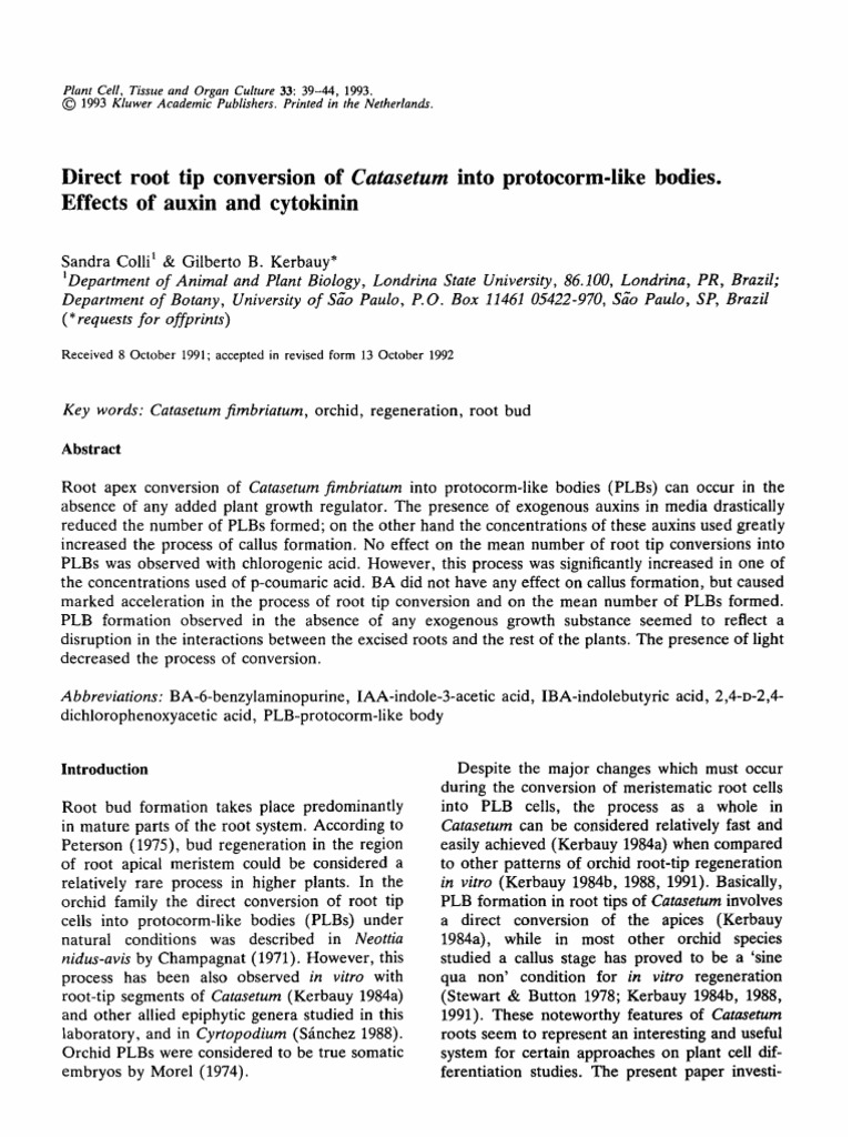 Direct Root Tip Conversion of Catasetum Into Protocorn-Like Bodies ...
