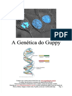 Genética do Guppy: Símbolos e Herança de Genes