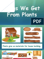 Things We Get From Plants