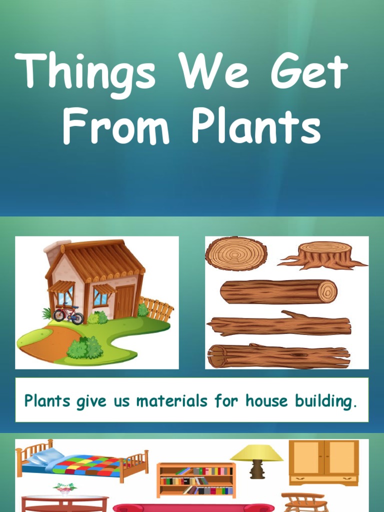 Things We Get From Plants PDF