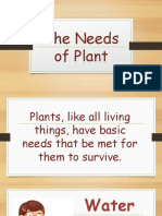 The Needs of Plant