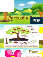 Parts of A Tree