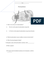 Photosynthesis - Overview - Questions