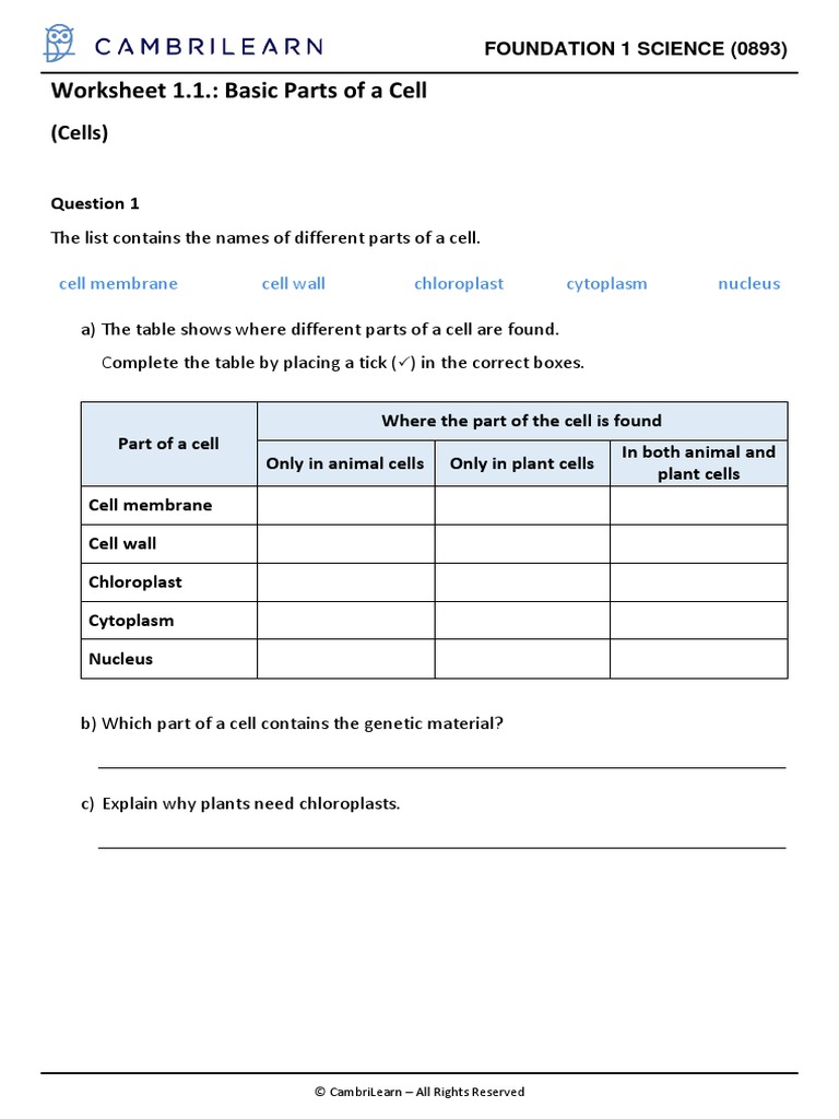 Worksheet 1.1 - Basic Parts of A Cell | PDF