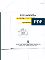4. Aguado, T. Pedagogía intercultural 103-118No
