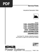 Kohler 2000REOZDB