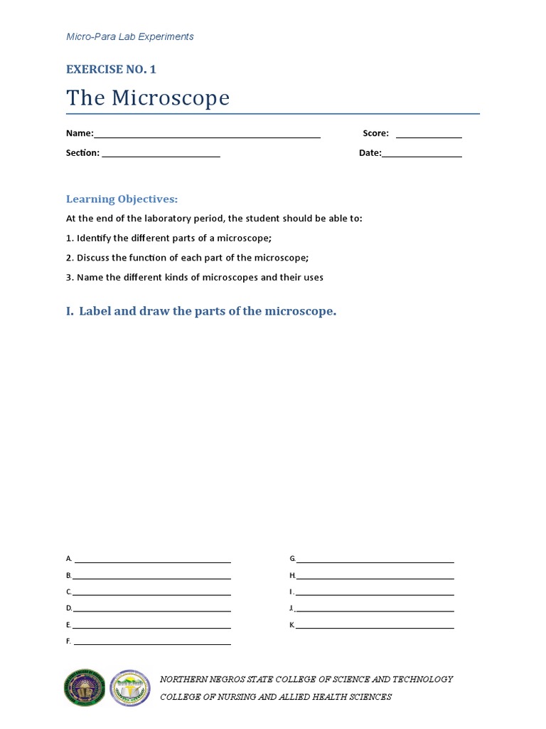 Microscope and Cell Lab Exercises | PDF | Cell (Biology) | Eukaryotes