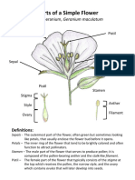 Flower Parts Diagrams