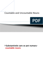 Countable and Uncountable Nouns