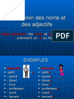 7 Le Fminin Des Noms Et Des Adjectifs P.P.