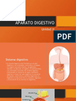 Aparato Digestivo Equipo 4