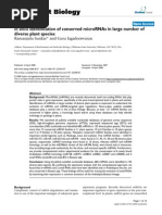 Download In Silico Identification of Conserved MicroRNAs in Large Number Of by bazbaz22 SN62162137 doc pdf