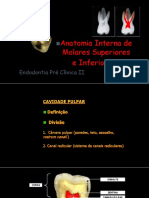 Anatomia Interna de Molares Superiores e Inferiores PDF