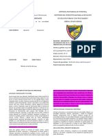 Informe Academico - Maibe