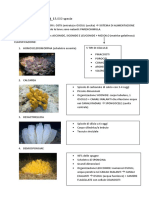 Classificazione 2.0 PDF
