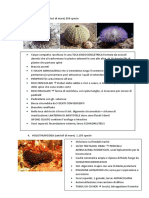 Classificazione 3.0 PDF