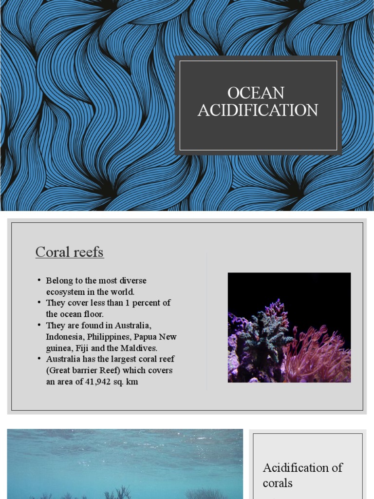Ocean | PDF