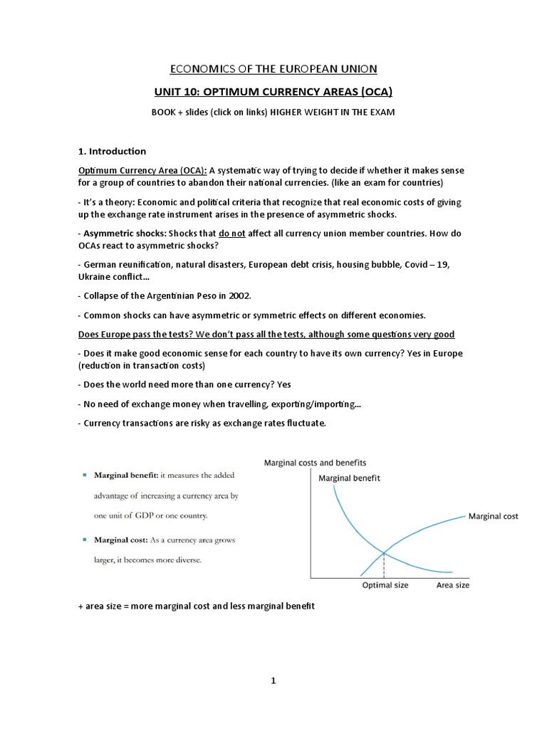 Economics of EU: Optimum Currency Areas | PDF | Monetary Policy ...
