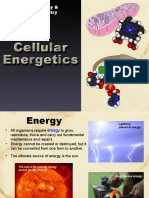 5 Cellular Energetics