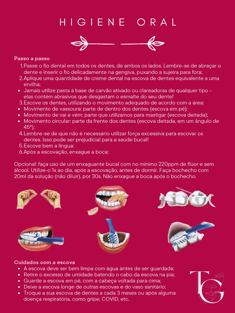 Passo A Passo Da Higiene Bucal PDF Boca Dente