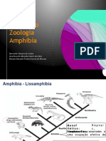 Amphibia Final