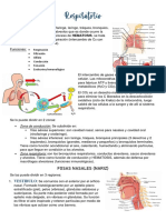 U.11Respiratorio y Embrio