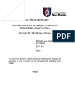 Auditoría A Los Actos Procesales y Elementos de Convicción de La Carpeta Fiscal Brissa V.A.