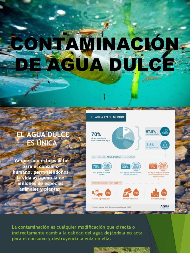 Contaminación del Agua Dulce y Soluciones | PDF