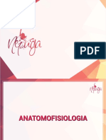 Anatomofisiologia - Ebook Aula 03