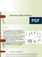 Arborele Traheo-Bronsic